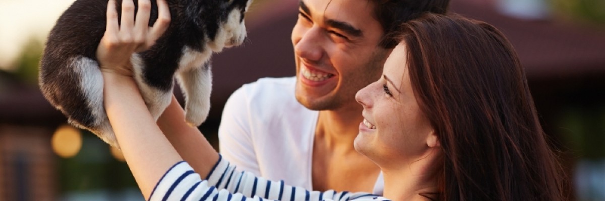 5 idei de cadouri pentru iubitorii de animale